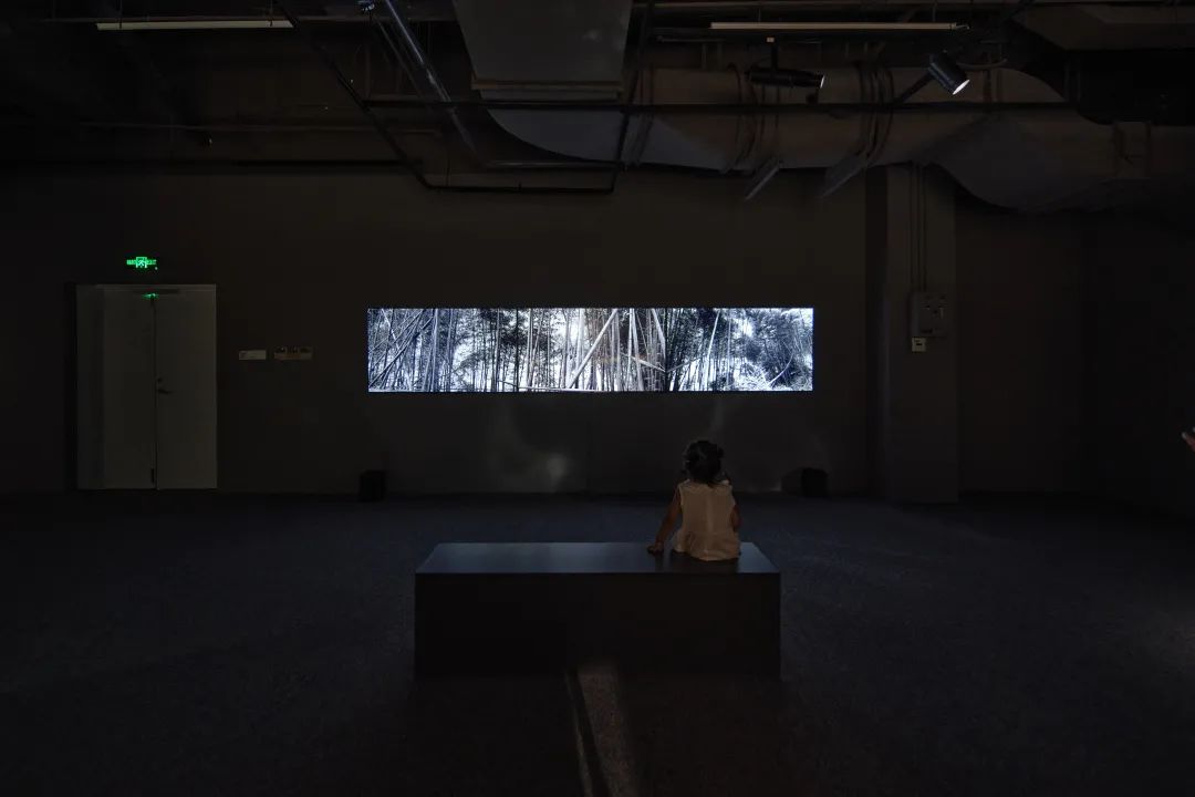 邵文欢个展“万境之眼”即日起向公众开放(图6) 邵文欢个展“万境之眼”即日起向公众开放(图6)