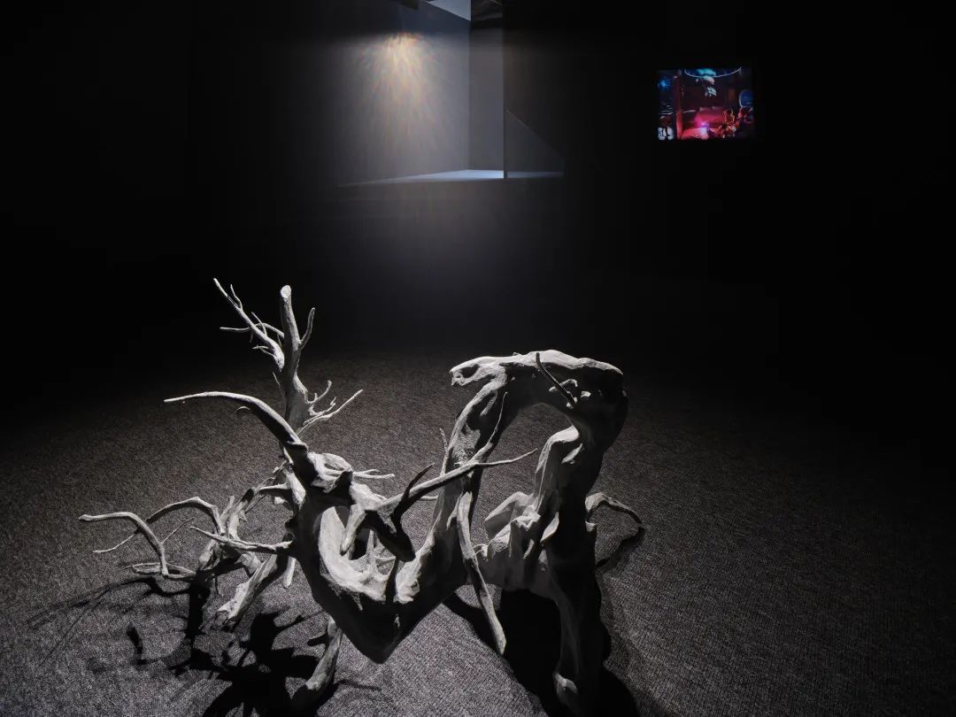 邵文欢个展“万境之眼”即日起向公众开放(图4) 邵文欢个展“万境之眼”即日起向公众开放(图4)
