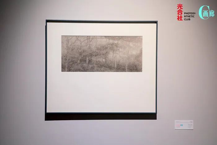 “何多苓师生展”让青年艺术家获得更多关注!(图9)