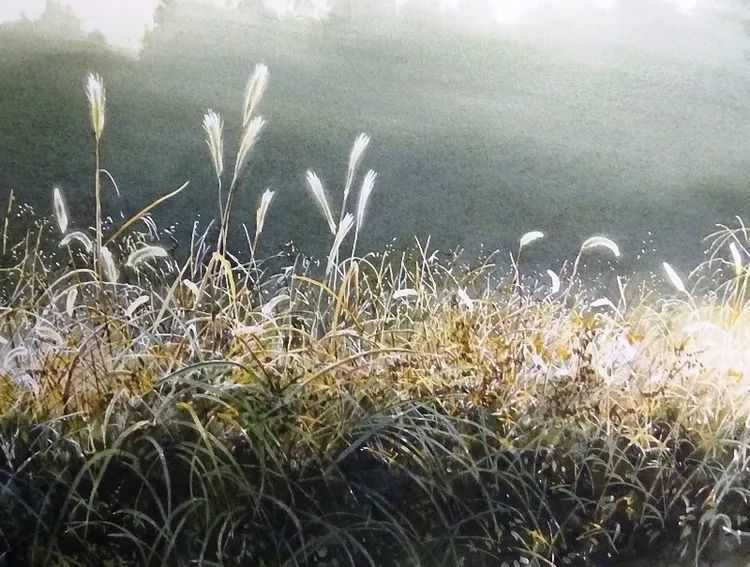 日本画家 阿部智幸：水彩画家笔中自然的光和彩，精彩绝伦！(图11)