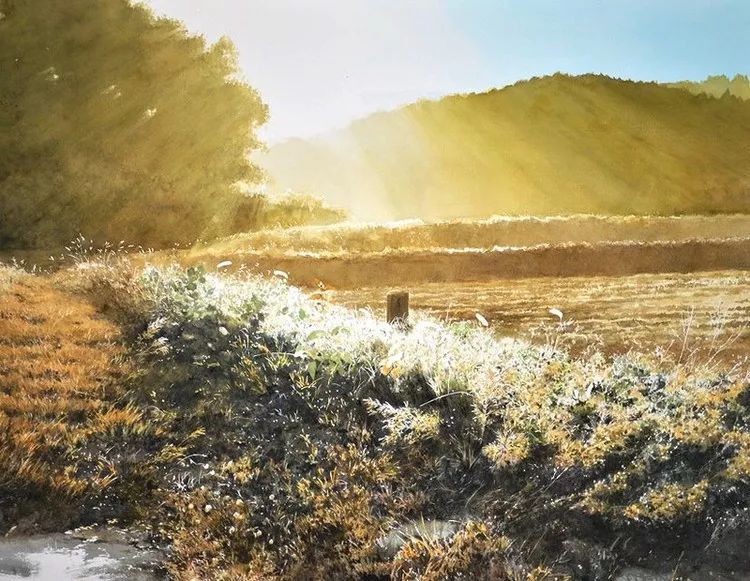 日本画家 阿部智幸：水彩画家笔中自然的光和彩，精彩绝伦！(图10)