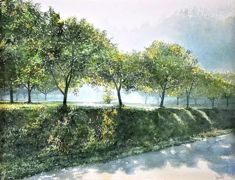 日本画家 阿部智幸：水彩画家笔中自然的光和彩，精彩绝伦！(图7)