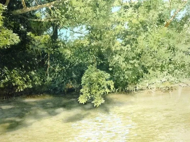 日本画家 阿部智幸：水彩画家笔中自然的光和彩，精彩绝伦！(图8)