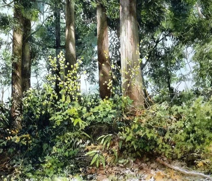 日本画家 阿部智幸：水彩画家笔中自然的光和彩，精彩绝伦！(图18)