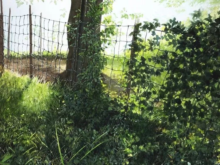 日本画家 阿部智幸：水彩画家笔中自然的光和彩，精彩绝伦！(图22)