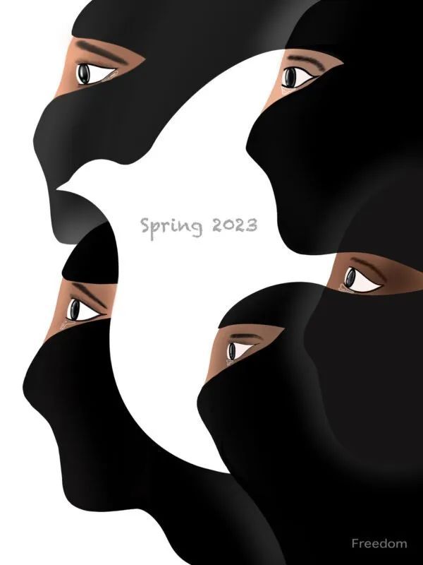 美国加州大学 Master Designers Series 大赛 获奖作品(图19)