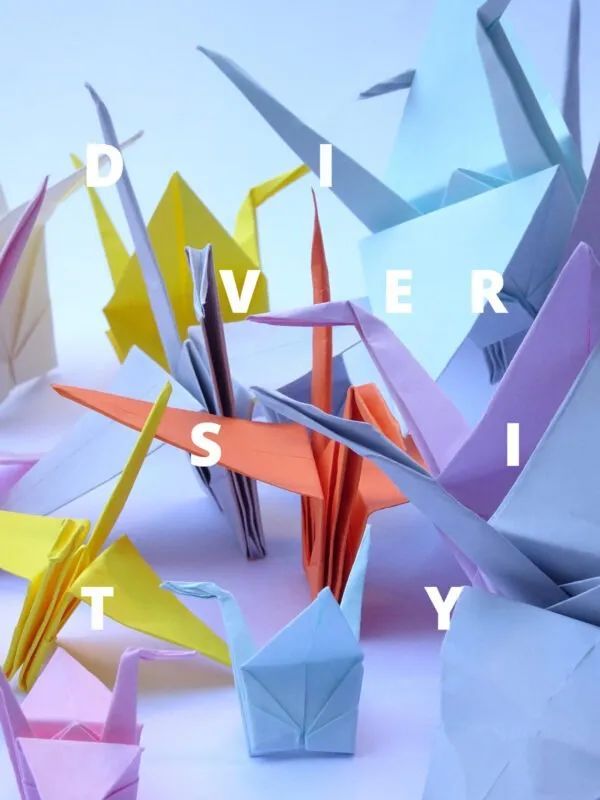 美国加州大学 Master Designers Series 大赛 获奖作品(图14)