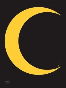 美国加州大学 Master Designers Series 大赛 获奖作品(图33)