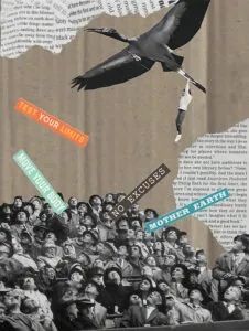 美国加州大学 Master Designers Series 大赛 获奖作品(图76)