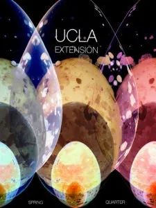 美国加州大学 Master Designers Series 大赛 获奖作品(图95)