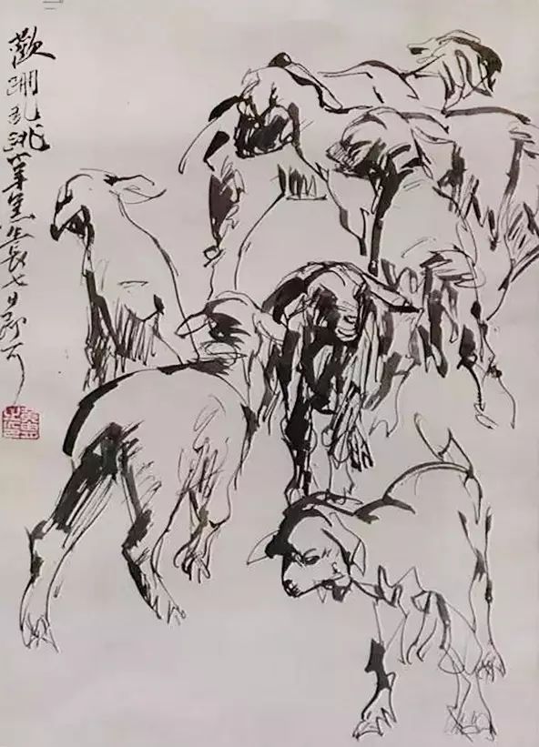 黄胄老师速写作品一组(图43)