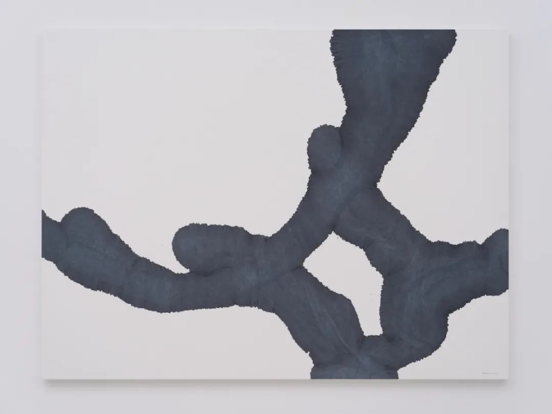 展览现场(东京空间)丨 如似呼吸 As if to breathe(图4) 展览现场(东京空间)丨 如似呼吸 As if to breathe(图4)
