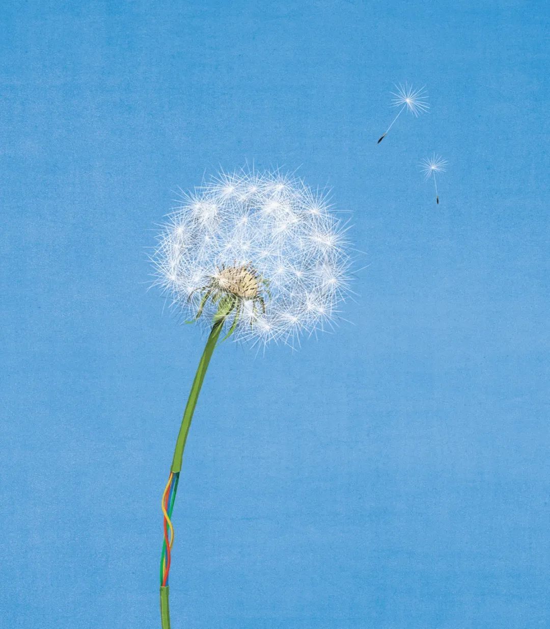 一组意大利插画家 Andrea Ucini的插画作品！(图27)