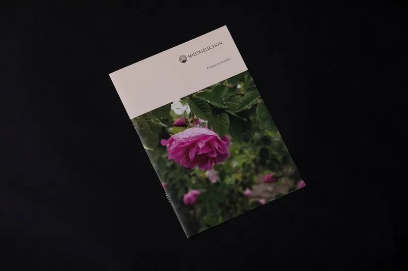 一组设计机构Econosys作品(图36) 一组设计机构Econosys作品(图36)