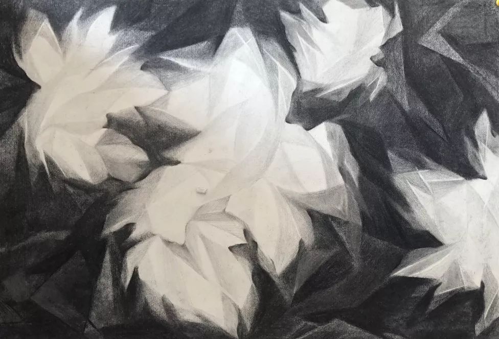 九大美院留校作品合集，一饱眼福，必须收藏！(图216)