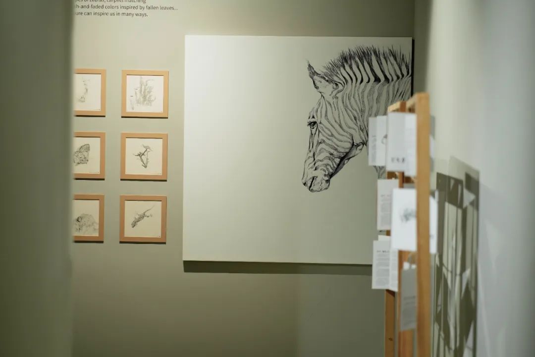 《生长·丰饶｜可持续创新主题插图展》(图7)