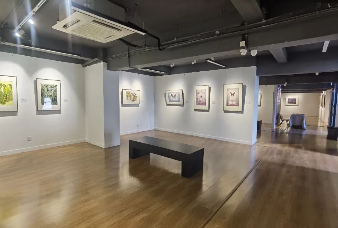 “一年又一年·档案2022——第二届上海当代新兴版画推介巡展”正在昆山亭林美术馆展出中(图17)
