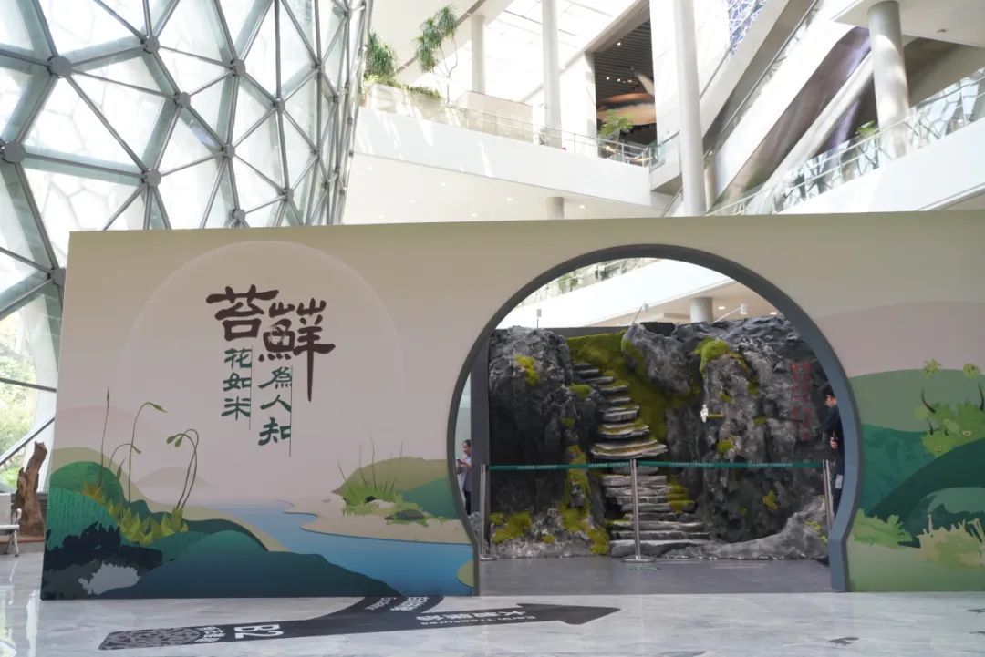 新展开幕 | “苔花如米·藓为人知”:三伏天,为心灵“吹吹风”(图3) 新展开幕 | “苔花如米·藓为人知”:三伏天,为心灵“吹吹风”(图3)