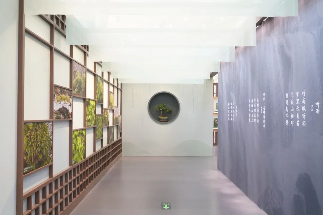 新展开幕 | “苔花如米·藓为人知”:三伏天,为心灵“吹吹风”(图6) 新展开幕 | “苔花如米·藓为人知”:三伏天,为心灵“吹吹风”(图6)