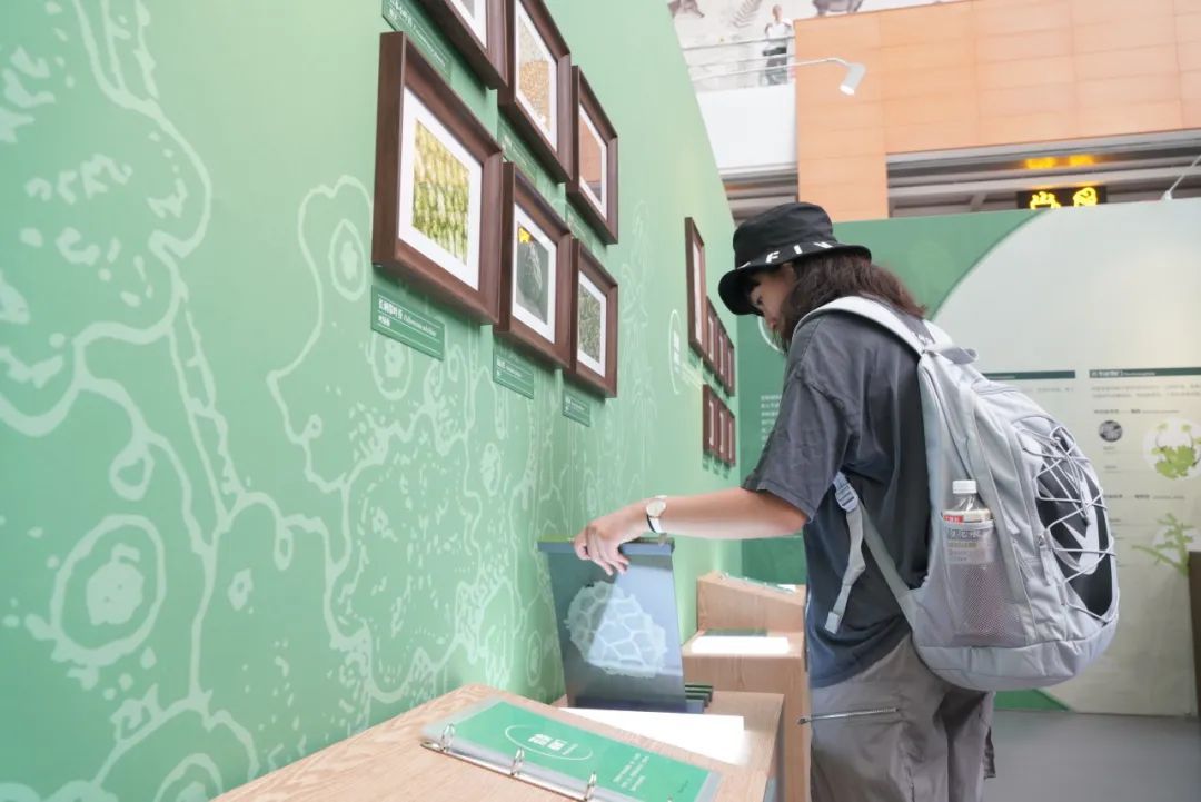 新展开幕 | “苔花如米·藓为人知”:三伏天,为心灵“吹吹风”(图7) 新展开幕 | “苔花如米·藓为人知”:三伏天,为心灵“吹吹风”(图7)