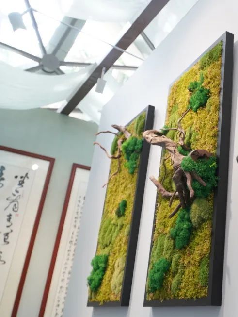 新展开幕 | “苔花如米·藓为人知”:三伏天,为心灵“吹吹风”(图11) 新展开幕 | “苔花如米·藓为人知”:三伏天,为心灵“吹吹风”(图11)