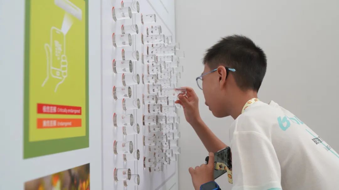 新展开幕 | “苔花如米·藓为人知”:三伏天,为心灵“吹吹风”(图12) 新展开幕 | “苔花如米·藓为人知”:三伏天,为心灵“吹吹风”(图12)