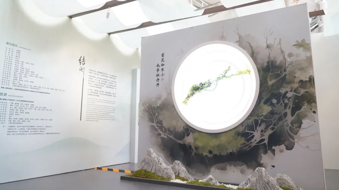 新展开幕 | “苔花如米·藓为人知”:三伏天,为心灵“吹吹风”(图13) 新展开幕 | “苔花如米·藓为人知”:三伏天,为心灵“吹吹风”(图13)