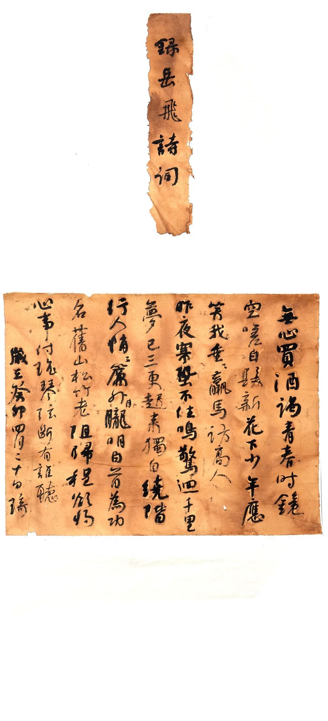 问墨寻真|西华师范大学书法学院2020级硕士研究生、2019级首届本科生毕业展(图84)