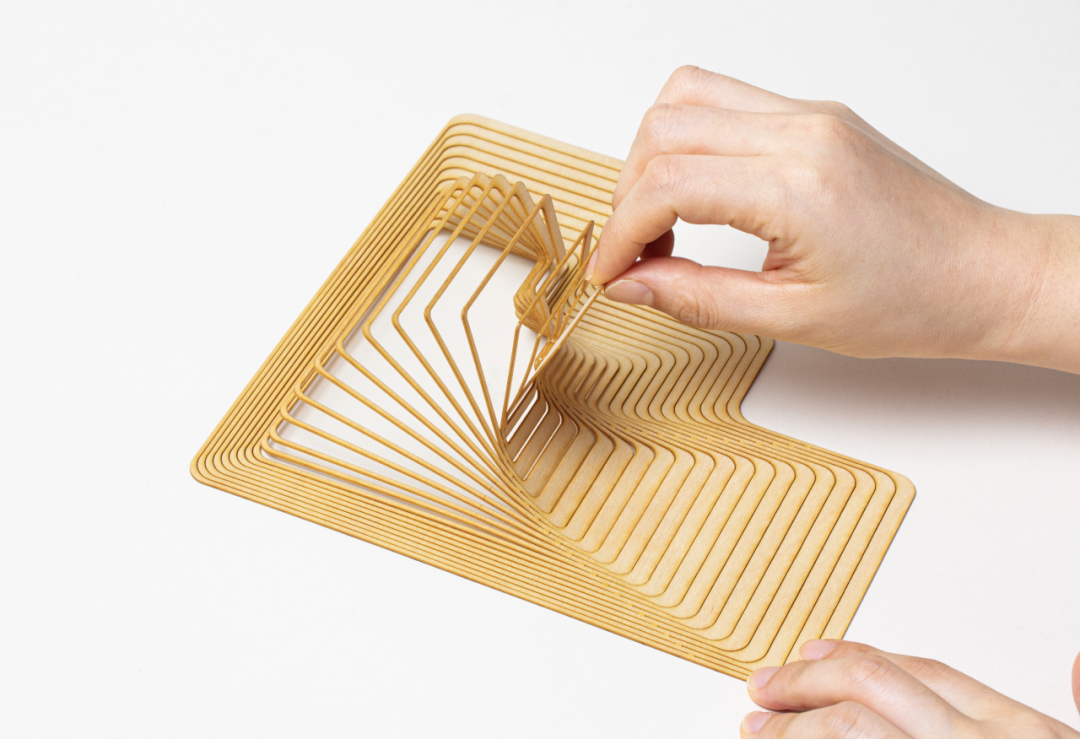 NewOne Awards 视觉传达毕设奖2023 国际评审团公布(图16)