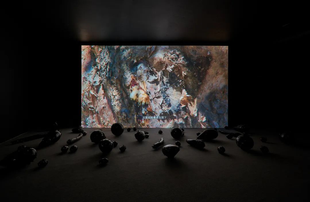 沙丘美术馆新展 | 在石油与珍珠共存的“幻影水域”，思考海洋的过去与未来(图17)
