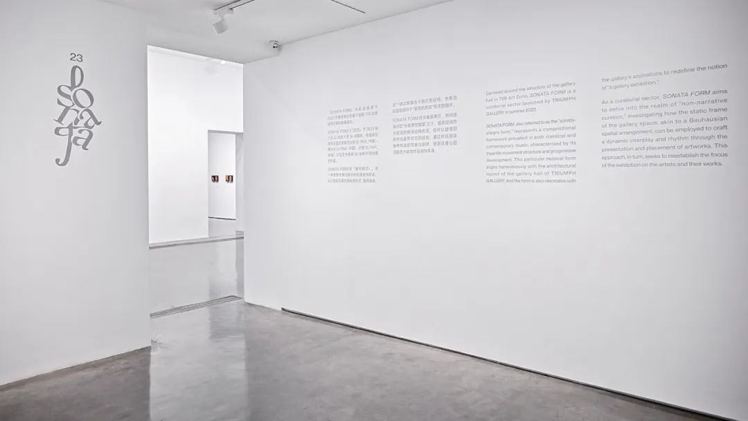 方力钧、季大纯、卢昊三人群展「SONATA FORM # 2023」(图2)