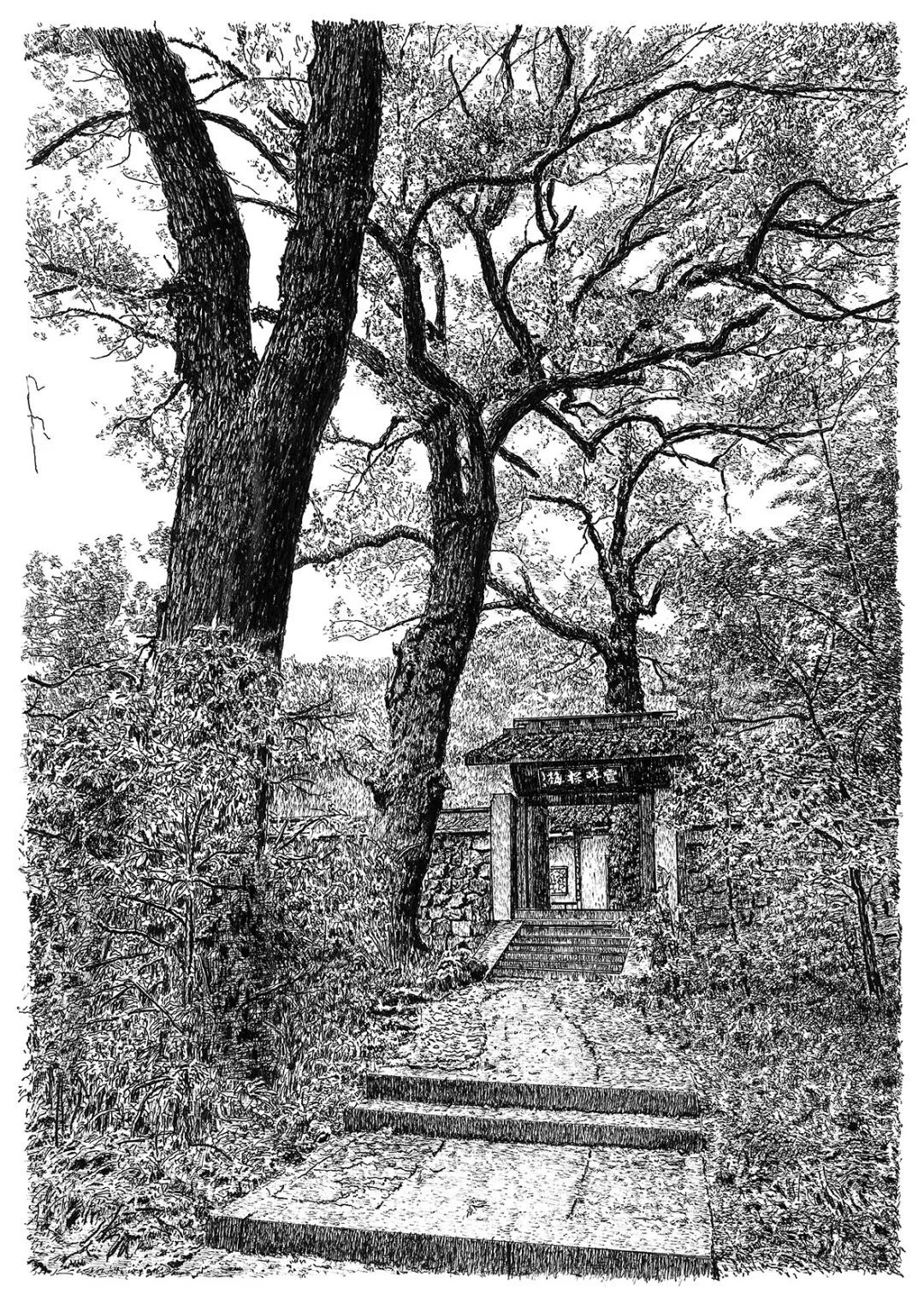 西湖美——张建庭“迎亚运”画展启幕(图32) 西湖美——张建庭“迎亚运”画展启幕(图32)