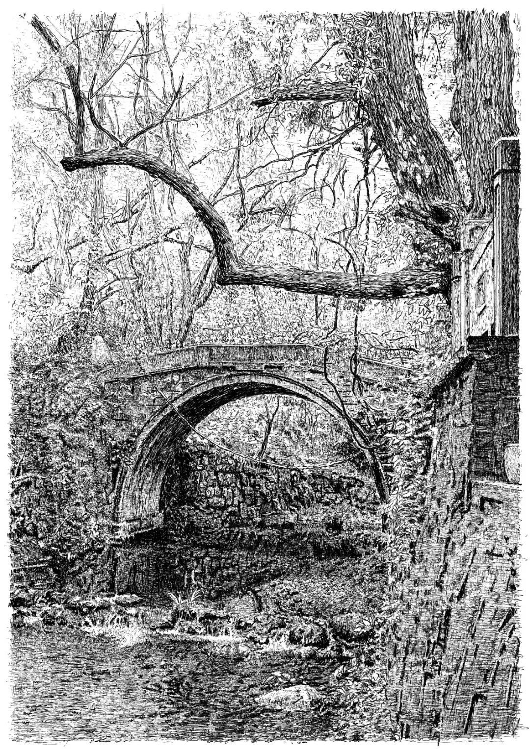 西湖美——张建庭“迎亚运”画展启幕(图47) 西湖美——张建庭“迎亚运”画展启幕(图47)