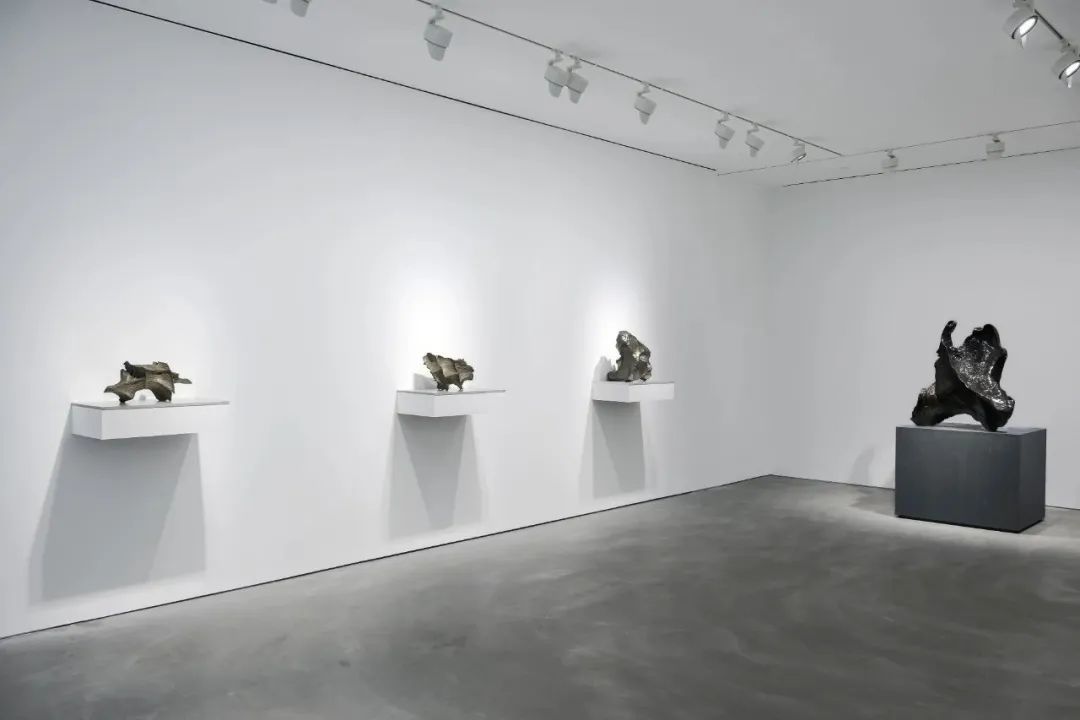 个展推荐丨隋建国:新作(图2) 个展推荐丨隋建国:新作(图2)