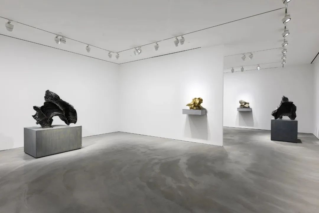 个展推荐丨隋建国:新作(图3) 个展推荐丨隋建国:新作(图3)