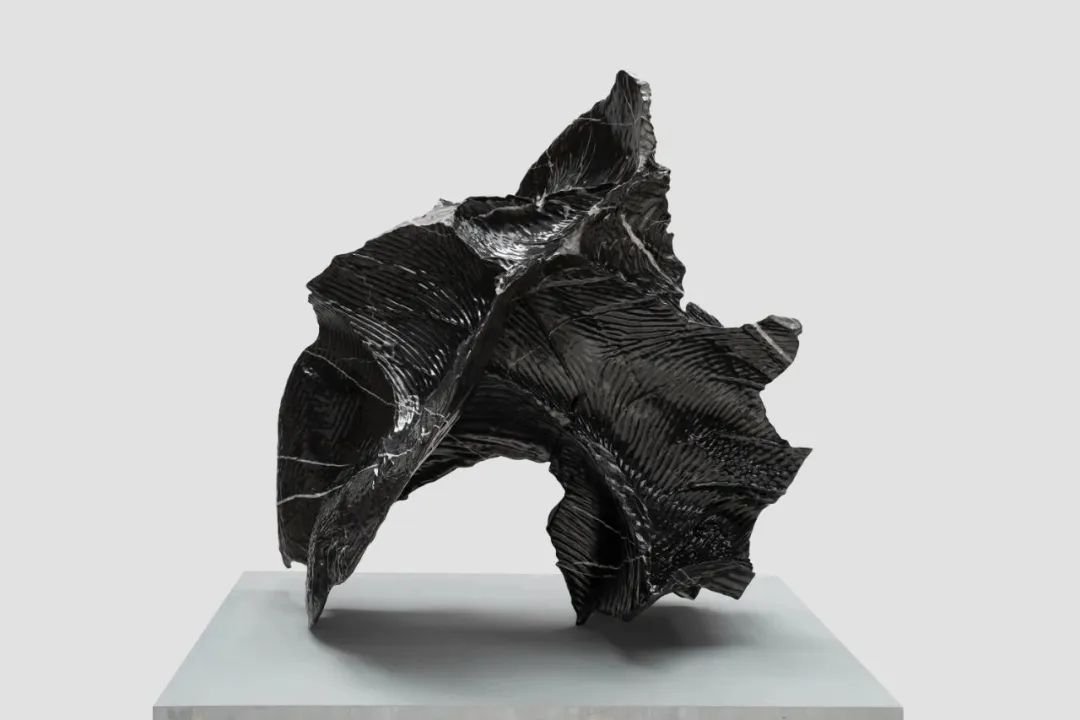 个展推荐丨隋建国:新作(图12) 个展推荐丨隋建国:新作(图12)