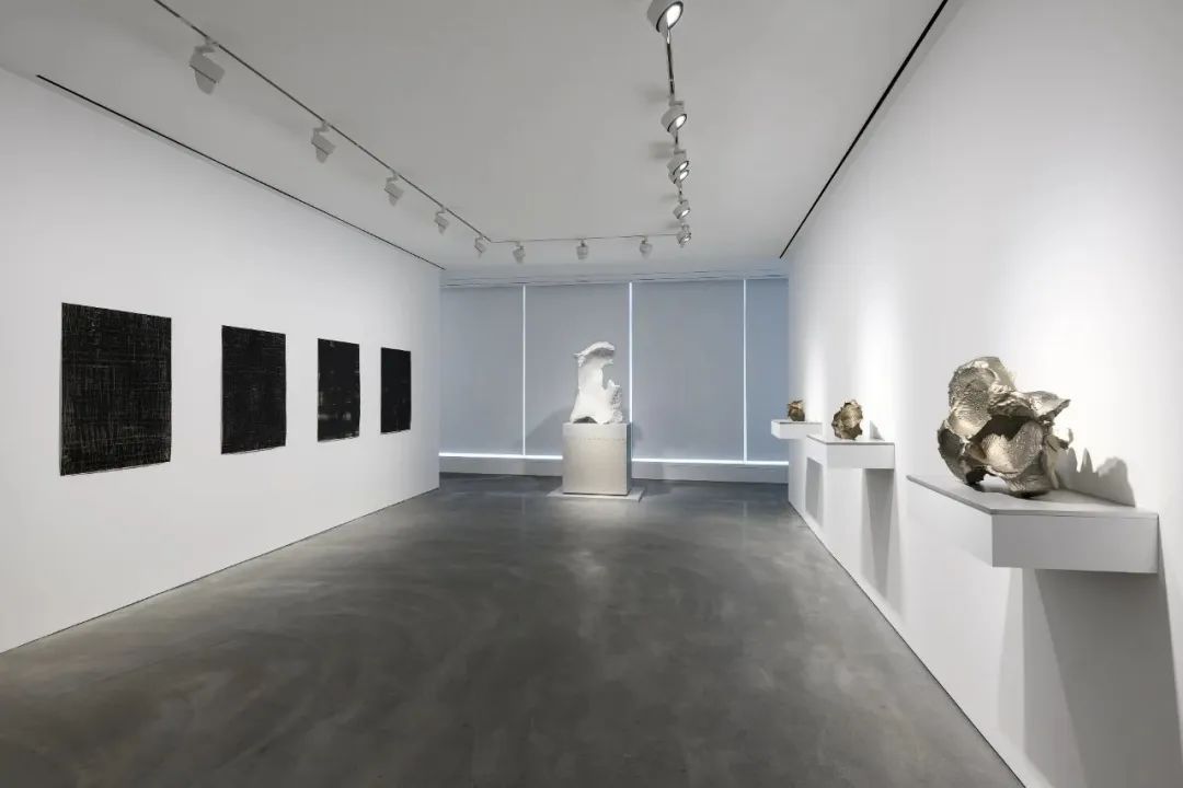 个展推荐丨隋建国:新作(图19) 个展推荐丨隋建国:新作(图19)