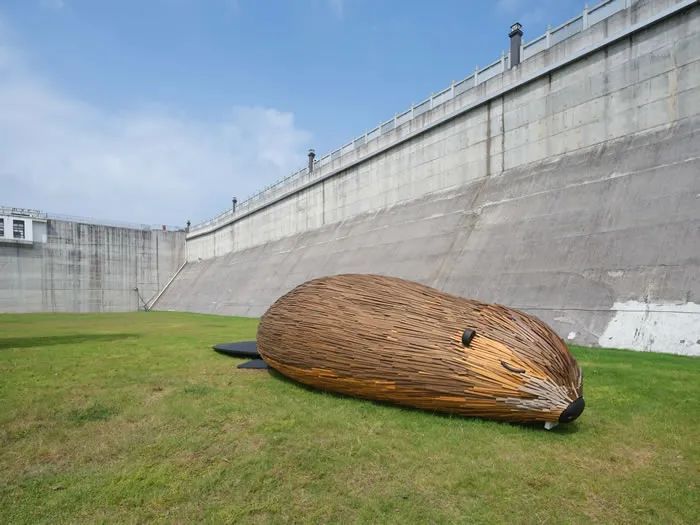 重返青绿 畅享自然——艺术在浮梁，在大地上书写艺术的色彩(图13)