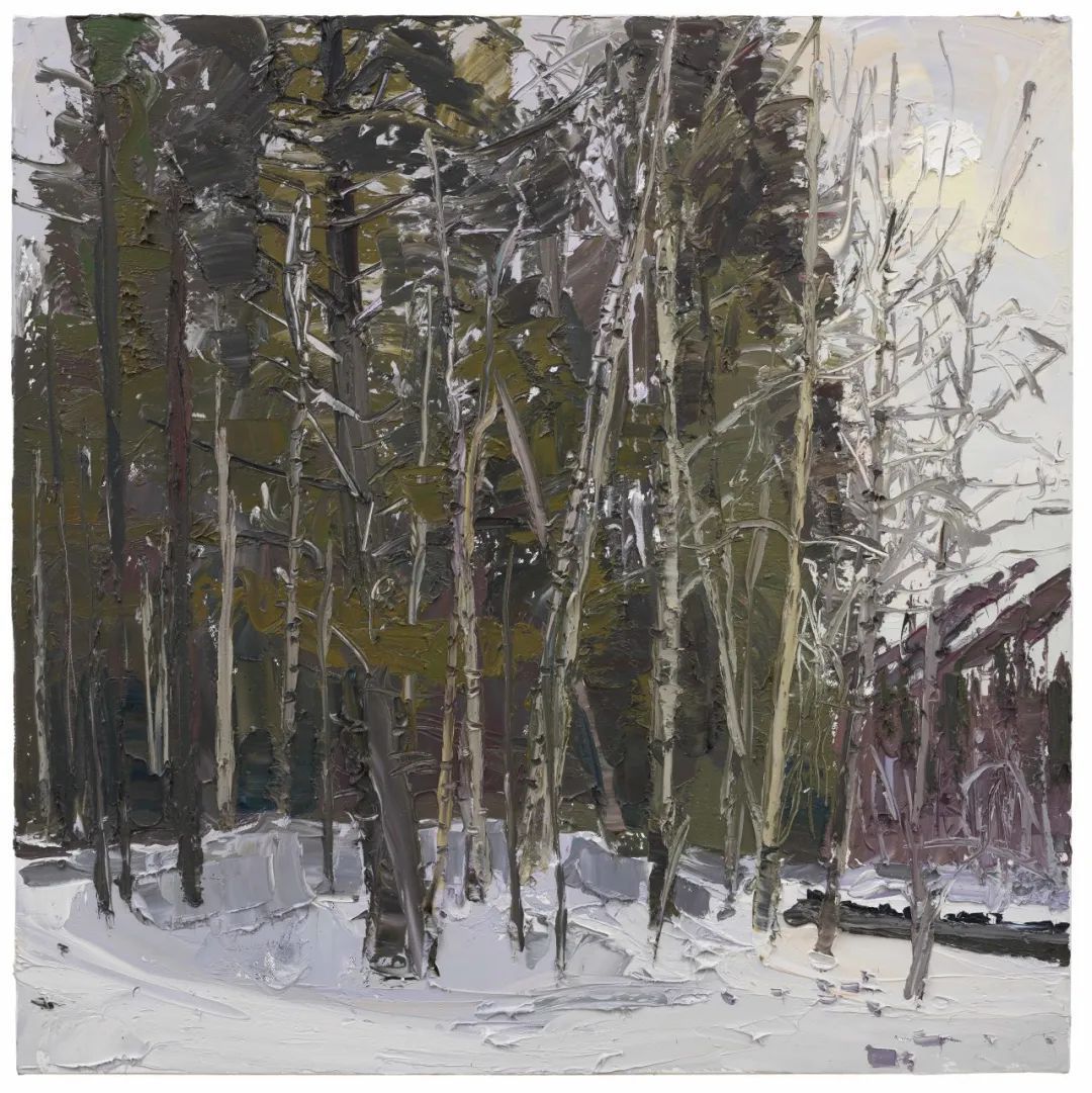 展览丨远景与近景:袁元油画作品展开展(图17) 17.jpg