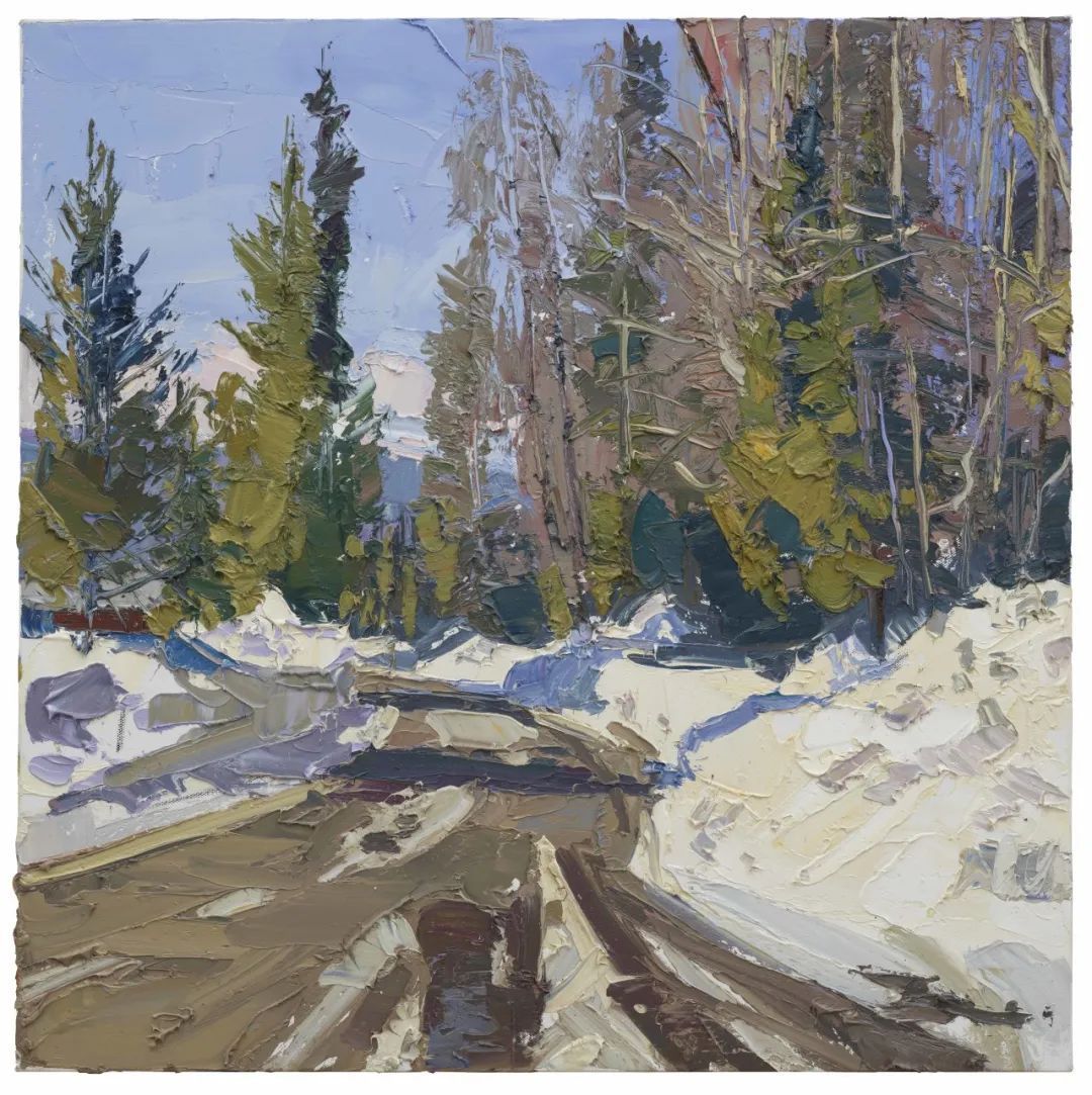 展览丨远景与近景:袁元油画作品展开展(图18) 18.jpg