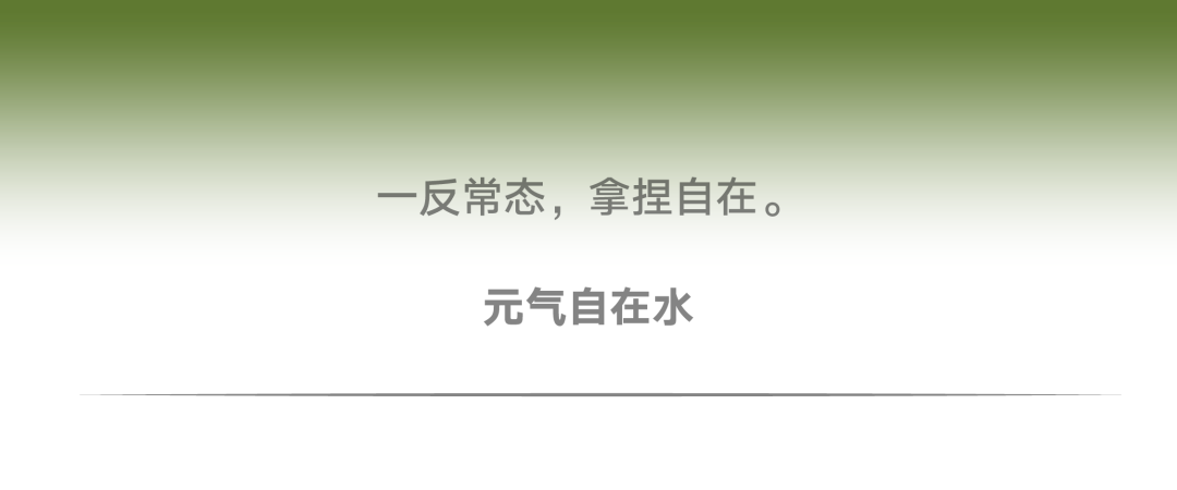 有citywalk当然有fontswalk！字体也要去公园晒太阳！(图10)