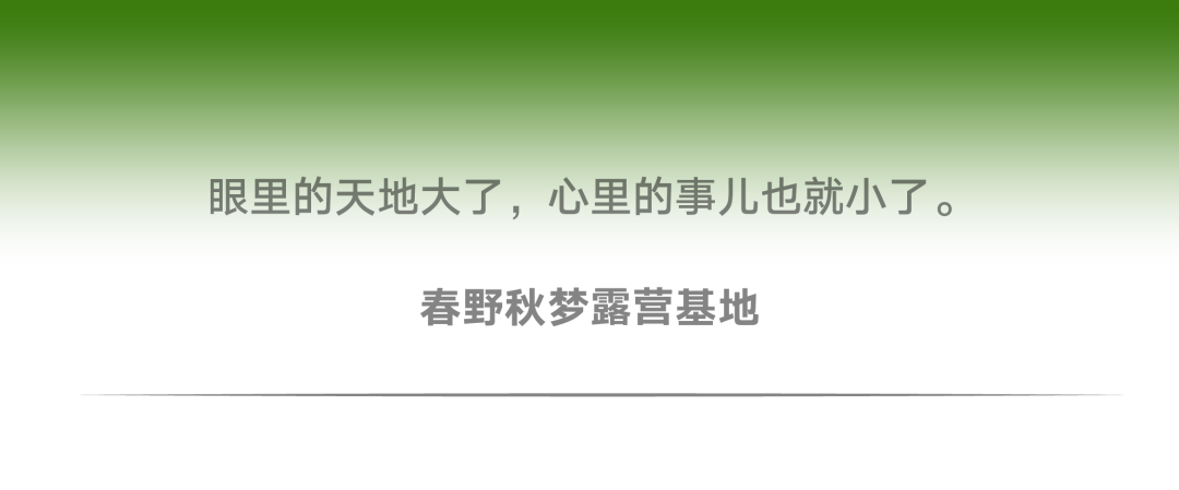 有citywalk当然有fontswalk！字体也要去公园晒太阳！(图12)