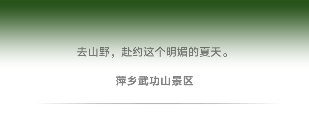 有citywalk当然有fontswalk！字体也要去公园晒太阳！(图18)